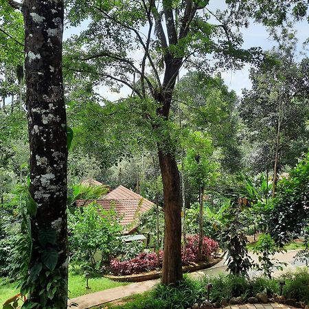เดอะ วิลโลว์ รีสอร์ต Hotel Ambalavayal ภายนอก รูปภาพ