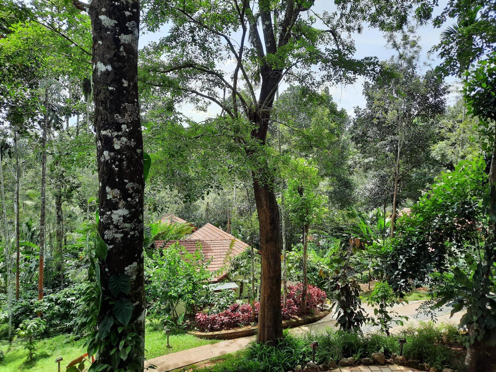 เดอะ วิลโลว์ รีสอร์ต Hotel Ambalavayal ภายนอก รูปภาพ